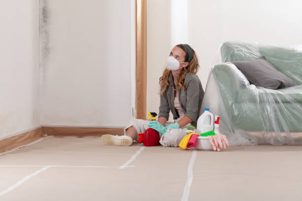 Reliable Mold Remediation contractor in Massapequa, NY by WQB Mold Removal